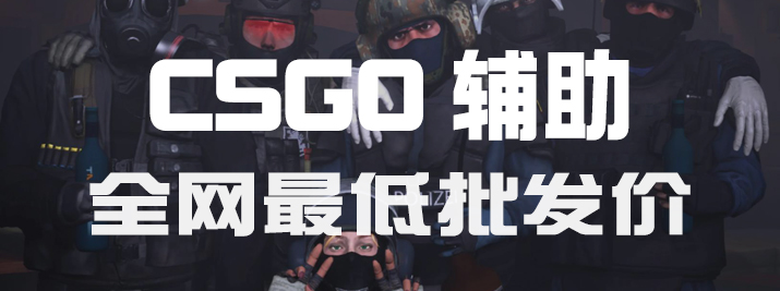 CSGO辅助